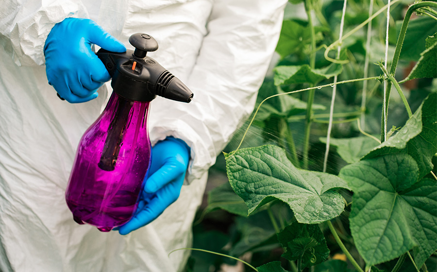 How Using Bio-Pesticides Can Revolutionize Your Crop Yield and Help Protect the Environment